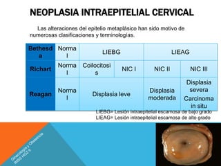 NEOPLASIA INTRAEPITELIAL CERVICAL
4
Las alteraciones del epitelio metaplásico han sido motivo de
numerosas clasificaciones y terminologías.
Bethesd
a
Norma
l
LIEBG LIEAG
Richart
Norma
l
Coilocitosi
s
NIC I NIC II NIC III
Reagan
Norma
l
Displasia leve
Displasia
moderada
Displasia
severa
Carcinoma
in situ
LIEBG= Lesión intraepitelial escamosa de bajo grado
LIEAG= Lesión intraepitelial escamosa de alto grado
 