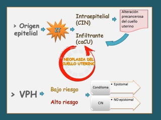 Cáncer cervicouterino. Patología Especial.