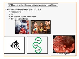 Cáncer cervicouterino. Patología Especial.