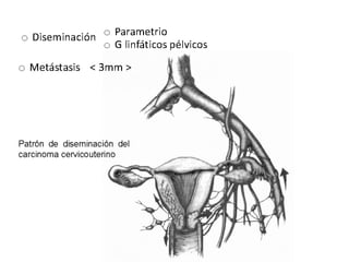 Cáncer cervicouterino. Patología Especial.