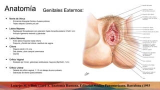 Anatomía Genitales Externos:
Latarjet M. y Ruíz Liard A. Anatomía Humana. Editorial Médica Panamericana. Barcelona (1993
 Monte de Venus
◦ Eminencia triangular frente a huesos púbicos
◦ Tejido adiposo cubierto por piel
 Labios Mayores
◦ Repliegues fibroadiposos con extensión hasta horquilla posterior (7x2x1 cm)
◦ Incluyen ligamento redondo y glándulas
 Labios Menores
◦ Entre labios mayores hasta clítoris
◦ Prepucio y frenillo del clítoris, vestíbulo de vagina
 Clítoris
◦ Órgano eréctil, 2-3 cms
◦ Dos pilares y dos cuerpos cavernosos
◦ Glande
 Orificio Vaginal
◦ Rodeado por himen, glándulas vestibulares mayores (Bartholin, 1cm)
 Orificio Uretral
◦ Delante de orificio vaginal, 1-1.5 cm debajo de arco pubiano
◦ Glándulas de Skene (parauretrales)
 