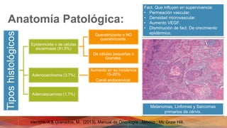 Anatomía Patológica:
Tiposhistológicos
Epidermoide o de células
escamosas (91.5%)
Queratinizante o NO
queratinizante.
De células pequeñas o
Grandes.
Adenocarcinoma (3.7%)
Aumento en su incidencia
15-20%
Canal endocervical.
Adenoescamoso (1.7%)
Melanomas, Linfomas y Sarcomas
primarios de cérvix.
Fact. Que influyen en supervivencia:
• Permeación vascular.
• Densidad microvascular.
• Aumento VEGF.
• Disminución de fact. De crecimiento
epidérmico.
Herrera, A & Granados, M.. (2013). Manual de Oncología . México : Mc Graw Hill.
 