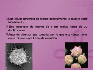 Una célula cancerosa de mama generalmente se duplica cada
100-300 días
 Una neoplasia de mama de 1 cm realiza cerca de 30
duplicaciones
Antes de alcanzar este tamaño, por lo que este cáncer tiene,
como mínimo, unos 7 anos de evolución
 