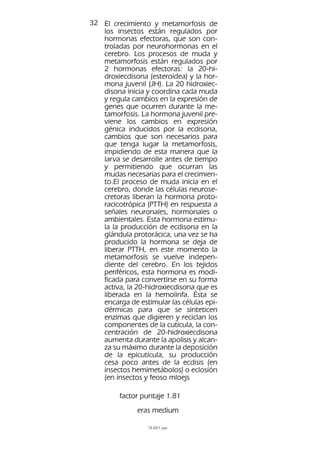 32 El crecimiento y metamorfosis de
los insectos están regulados por
hormonas efectoras, que son controladas por neurohormonas en el
cerebro. Los procesos de muda y
metamorfosis están regulados por
2 hormonas efectoras: la 20-hidroxiecdisona (esteroidea) y la hormona juvenil (JH). La 20 hidroxiecdisona inicia y coordina cada muda
y regula cambios en la expresión de
genes que ocurren durante la metamorfosis. La hormona juvenil previene los cambios en expresión
génica inducidos por la ecdisona,
cambios que son necesarios para
que tenga lugar la metamorfosis,
impidiendo de esta manera que la
larva se desarrolle antes de tiempo
y permitiendo que ocurran las
mudas necesarias para el crecimiento.El proceso de muda inicia en el
cerebro, donde las células neurosecretoras liberan la hormona protoracicotrópica (PTTH) en respuesta a
señales neuronales, hormonales o
ambientales. Esta hormona estimula la producción de ecdisona en la
glándula protorácica, una vez se ha
producido la hormona se deja de
liberar PTTH, en este momento la
metamorfosis se vuelve independiente del cerebro. En los tejidos
periféricos, esta hormona es modificada para convertirse en su forma
activa, la 20-hidroxiecdisona que es
liberada en la hemolinfa. Ésta se
encarga de estimular las células epidérmicas para que se sinteticen
enzimas que digieren y reciclan los
componentes de la cutícula, la concentración de 20-hidroxiecdisona
aumenta durante la apolisis y alcanza su máximo durante la deposición
de la epicutícula, su producción
cesa poco antes de la ecdisis (en
insectos hemimetábolos) o eclosión
(en insectos y feoso mloejs
factor puntaje 1.81
eras medium
74.083 mm

 