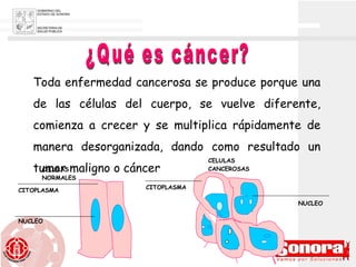 ¿Qué es cáncer? Toda enfermedad cancerosa se produce porque una de las células del cuerpo, se vuelve diferente, comienza a crecer y se multiplica rápidamente de manera desorganizada, dando como resultado un tumor maligno o cáncer CITOPLASMA CELULAS NORMALES NUCLEO CITOPLASMA NUCLEO CELULAS CANCEROSAS 