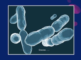 Gracias ….. 