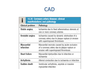 CAD
 