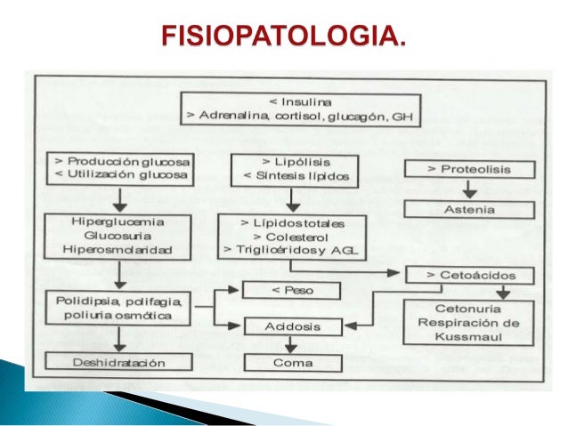DIABETES Y CETOACIDOSIS DIABETICA DIABETES Y CETOACIDOSIS DIABETICA