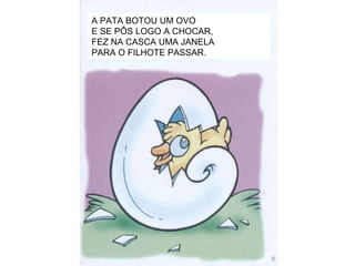 A PATA BOTOU UM OVO  E SE PÔS LOGO A CHOCAR, FEZ NA CASCA UMA JANELA  PARA O FILHOTE PASSAR. 