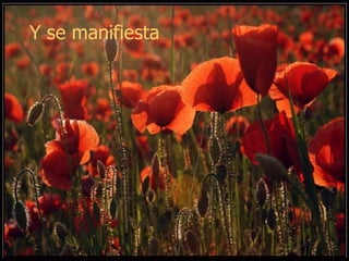 Y se manifiesta