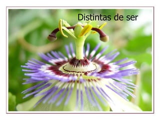 Distintas de ser