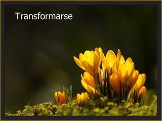 Transformarse