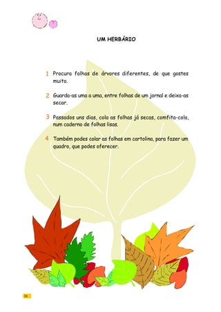 16
UM HERBÁRIO
Procura folhas de árvores diferentes, de que gostes
muito.
Guarda-as uma a uma, entre folhas de um jornal e deixa-as
secar.
Passados uns dias, cola as folhas já secas, comfita-cola,
num caderno de folhas lisas.
Também podes colar as folhas em cartolina, para fazer um
quadro, que podes oferecer.
1
2
4
3
 