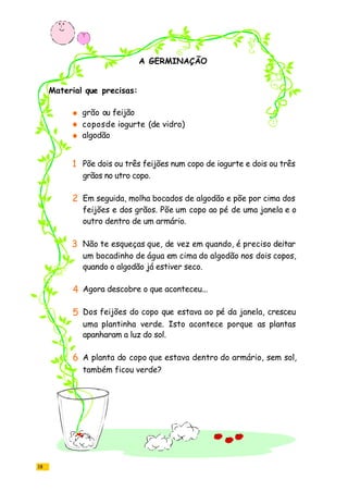 18
A GERMINAÇÃO
grão ou feijão
coposde iogurte (de vidro)
algodão
Põe dois ou três feijões num copo de iogurte e dois ou três
grãos no utro copo.
Em seguida, molha bocados de algodão e põe por cima dos
feijões e dos grãos. Põe um copo ao pé de uma janela e o
outro dentro de um armário.
Não te esqueças que, de vez em quando, é preciso deitar
um bocadinho de água em cima do algodão nos dois copos,
quando o algodão já estiver seco.
Agora descobre o que aconteceu...
Dos feijões do copo que estava ao pé da janela, cresceu
uma plantinha verde. Isto acontece porque as plantas
apanharam a luz do sol.
A planta do copo que estava dentro do armário, sem sol,
também ficou verde?
Material que precisas:
1
2
3
4
5
6
 