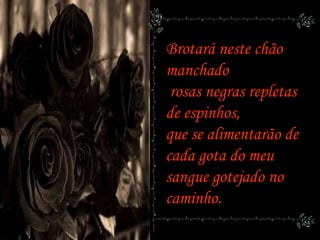 Brotará neste chão
manchado
rosas negras repletas
de espinhos,
que se alimentarão de
cada gota do meu
sangue gotejado no
caminho.
 