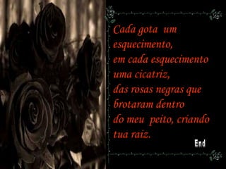 Cada gota um
esquecimento,
em cada esquecimento
uma cicatriz,
das rosas negras que
brotaram dentro
do meu peito, criando
tua raiz.
 