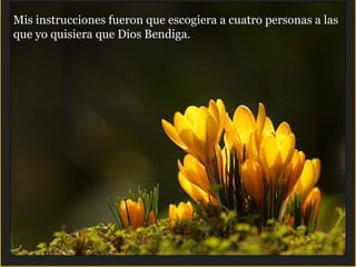 Mis instrucciones fueron que escogiera a cuatro personas a las  que yo quisiera que Dios Bendiga. 