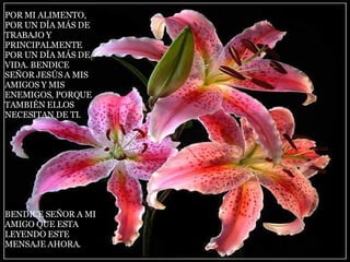 POR MI ALIMENTO, POR UN DÍA MÁS DE TRABAJO Y PRINCIPALMENTE POR UN DÍA MÁS DE VIDA. BENDICE SEÑOR JESÚS A MIS AMIGOS Y MIS  ENEMIGOS, PORQUE TAMBIÉN ELLOS NECESITAN DE TI. BENDICE SEÑOR A MI AMIGO QUE ESTA LEYENDO ESTE MENSAJE AHORA.  