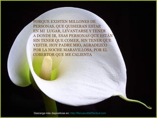 PORQUE EXISTEN MILLONES DE  PERSONAS, QUE QUISIERAN ESTAR EN MI  LUGAR, LEVANTARSE Y TENER  A DONDE IR, ESAS PERSONAS QUE ESTÁN  SIN TENER QUE COMER, SIN TENER QUE VESTIR. HOY PADRE MIO, AGRADEZCO  POR LA NOCHE MARAVILLOSA, POR EL  COBERTOR QUE ME CALIENTA   Descarga más diapositivas en:  http://RenuevoDePlenitud.com 
