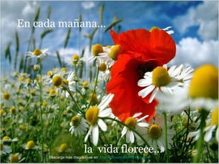 la  vida florece... En cada mañana... Descarga más diapositivas en:  http://RenuevoDePlenitud.com 