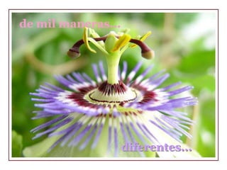 diferentes...
de mil maneras...
 