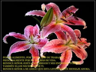 POR MI ALIMENTO, POR UN DÍA MÁS DE TRABAJO Y
PRINCIPALMENTE POR UN DÍA MÁS DE VIDA.
BENDICE SEÑOR JESÚS A MIS AMIGOS Y MIS ENEMIGOS, PORQUE
TAMBIÉN ELLOS NECESITAN DE TI.
BENDICE SEÑOR A MI AMIGO QUE ESTA LEYENDO ESTE MENSAJE AHORA.
 
