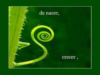 de nacer,
crecer ,
 