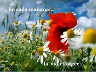 la vida florece...
En cada mañana...
 
