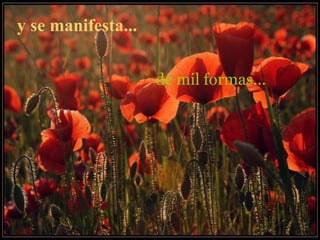 y se manifesta...   de mil formas... 