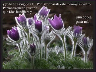 y yo te he escogido a ti.  Por favor pásale este mensaje a cuatro Personas que te gustaría que Dios bendijera y una copia para mí. 
