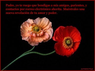 Padre, yo te ruego que bendigas a mis amigos, parientes, y  contactos por correo electrónico ahorita. Muéstrales una nueva revelación de tu amor y poder. 