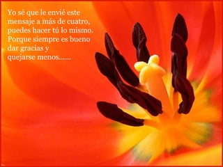 Yo sé que le envié este mensaje a más de cuatro, puedes hacer tú lo mismo. Porque siempre es bueno dar gracias y quejarse menos...... 