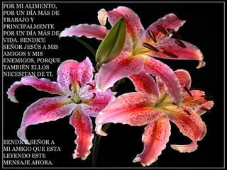 POR MI ALIMENTO, POR UN DÍA MÁS DE TRABAJO Y PRINCIPALMENTE POR UN DÍA MÁS DE VIDA. BENDICE SEÑOR JESÚS A MIS AMIGOS Y MIS  ENEMIGOS, PORQUE TAMBIÉN ELLOS NECESITAN DE TI. BENDICE SEÑOR A MI AMIGO QUE ESTA LEYENDO ESTE MENSAJE AHORA.  