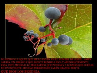 YO BENDIGO A AQUEL QUE ME LO ENVIÓ. EN EL NOMBRE DE JESÚS... AMÉN. ASÍ SEA. UN ABRAZO Y QUE DIOS TE BENDIGA RICA Y ABUNDANTEMENTE, PASA  ESTE MENSAJE LO MÁS RÁPIDO QUE PUEDAS Y A LOS MÁS QUE PUEDAS, EN UN INSTANTE  MUCHAS PERSONAS ES TARÁN ORANDO POR TI. QUE DIOS LOS BENDIGA .   