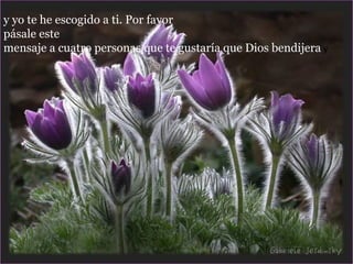 y yo te he escogido a ti. Por favor  pásale este mensaje a cuatro personas que te gustaría que Dios bendijera  y  