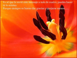 Yo sé que le envié este mensaje a más de cuatro, puedes hacer  tú lo mismo. Porque siempre es bueno dar gracias y quejarse menos...... 