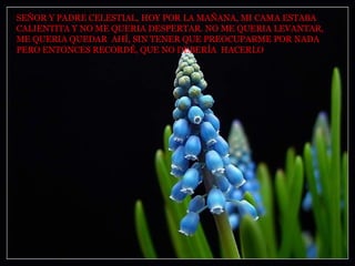SEÑOR Y PADRE CELESTIAL, HOY POR LA MAÑANA, MI CAMA ESTABA  CALIENTITA Y NO ME QUERIA DESPERTAR. NO ME QUERIA LEVANTAR,  ME QUERIA QUEDAR  AHÍ, SIN TENER QUE PREOCUPARME POR NADA  PERO ENTONCES RECORDÉ, QUE NO DEBERÍA  HACERLO 