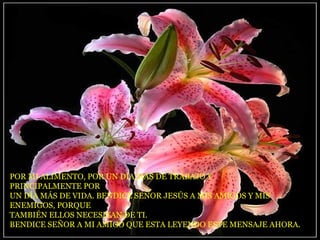 POR MI ALIMENTO, POR UN DÍA MÁS DE TRABAJO Y  PRINCIPALMENTE POR UN DÍA MÁS DE VIDA. BENDICE SEÑOR JESÚS A MIS AMIGOS Y MIS  ENEMIGOS, PORQUE TAMBIÉN ELLOS NECESITAN DE TI. BENDICE SEÑOR A MI AMIGO QUE ESTA LEYENDO ESTE MENSAJE AHORA.  