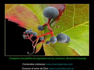 Comparte una palabra de esperanza con tus contactos. Reenvia el mensaje

            Contenidos cristianos: www.Avanzapormas.com
           Conocer el amor de Dios: www.Luminares.com.ar
 