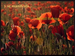 y se manifesta...   de mil formas... 