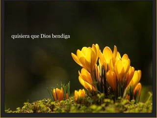 quisiera que Dios bendiga  