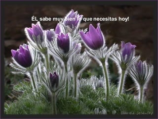 ÉL sabe muy bien lo que necesitas hoy! 
