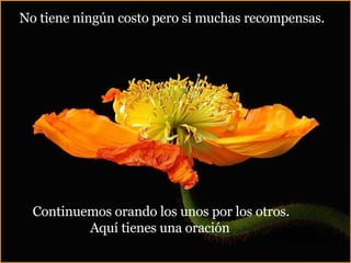 No tiene ningún costo pero si muchas recompensas. Continuemos orando los unos por los otros. Aquí tienes una oración   