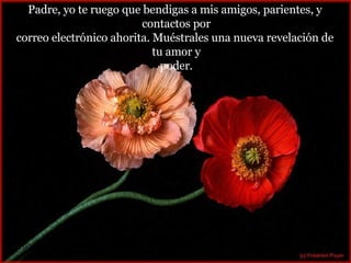 Padre, yo te ruego que bendigas a mis amigos, parientes, y  contactos por correo electrónico ahorita. Muéstrales una nueva revelación de  tu amor y poder. 