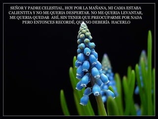SEÑOR Y PADRE CELESTIAL, HOY POR LA MAÑANA, MI CAMA ESTABA  CALIENTITA Y NO ME QUERIA DESPERTAR. NO ME QUERIA LEVANTAR,  ME QUERIA QUEDAR  AHÍ, SIN TENER QUE PREOCUPARME POR NADA  PERO ENTONCES RECORDÉ, QUE NO DEBERÍA  HACERLO 