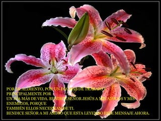 POR MI ALIMENTO, POR UN DÍA MÁS DE TRABAJO Y  PRINCIPALMENTE POR UN DÍA MÁS DE VIDA. BENDICE SEÑOR JESÚS A MIS AMIGOS Y MIS  ENEMIGOS, PORQUE TAMBIÉN ELLOS NECESITAN DE TI. BENDICE SEÑOR A MI AMIGO QUE ESTA LEYENDO ESTE MENSAJE AHORA.  