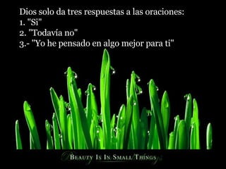 Dios solo da tres respuestas a las oraciones: 1. "Si" 2. "Todavía no" 3.- "Yo he pensado en algo mejor para ti"  