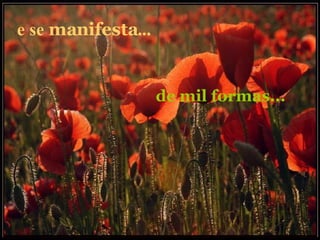 e se  manifesta ...   de mil formas... 