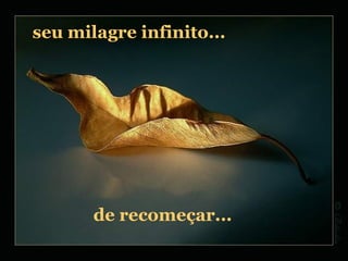seu milagre infinito... de recomeçar... 