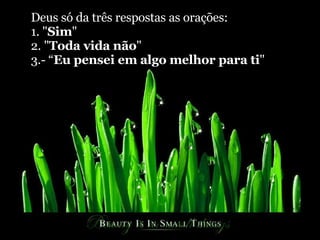 Deus só da três respostas as orações: 1. " Sim " 2. " Toda vida não " 3.- “ Eu pensei em algo melhor para ti "  